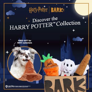 Harry Potter-themed dog toys are featured, including a Sorting Hat, Mandrake, and other magical items. A dog is shown with a Sorting Hat toy. New customers receive a free gift.