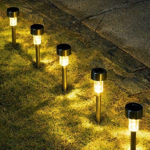 16-pack LED solar garden lights with stainless steel stakes, emitting a warm glow, line a grassy area beside a paved path, powered by solar panels on top.