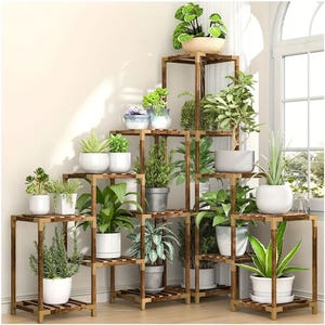 A tiered wooden plant stand showcases various potted plants near a window, creating a stepping arrangement with greenery in white and gray pots.