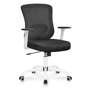 Winrise Ergonomic Office Chair features a black mesh backrest, cushioned seat, adjustable armrests, white frame, and five caster wheels on a swivel base, offering mobility and comfort.