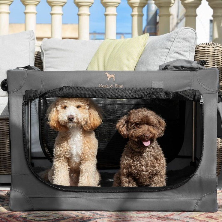 A portable pet crate by Noah & Paw is open, housing two small, curly-haired dogs. It's placed outdoors on wicker furniture with decorative cushions and has mesh sides for visibility and ventilation.