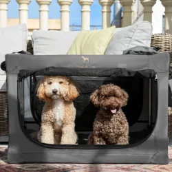 A portable pet crate by Noah & Paw is open, housing two small, curly-haired dogs. It's placed outdoors on wicker furniture with decorative cushions and has mesh sides for visibility and ventilation.