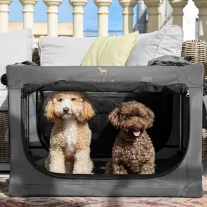 A portable pet crate by Noah & Paw is open, housing two small, curly-haired dogs. It's placed outdoors on wicker furniture with decorative cushions and has mesh sides for visibility and ventilation.