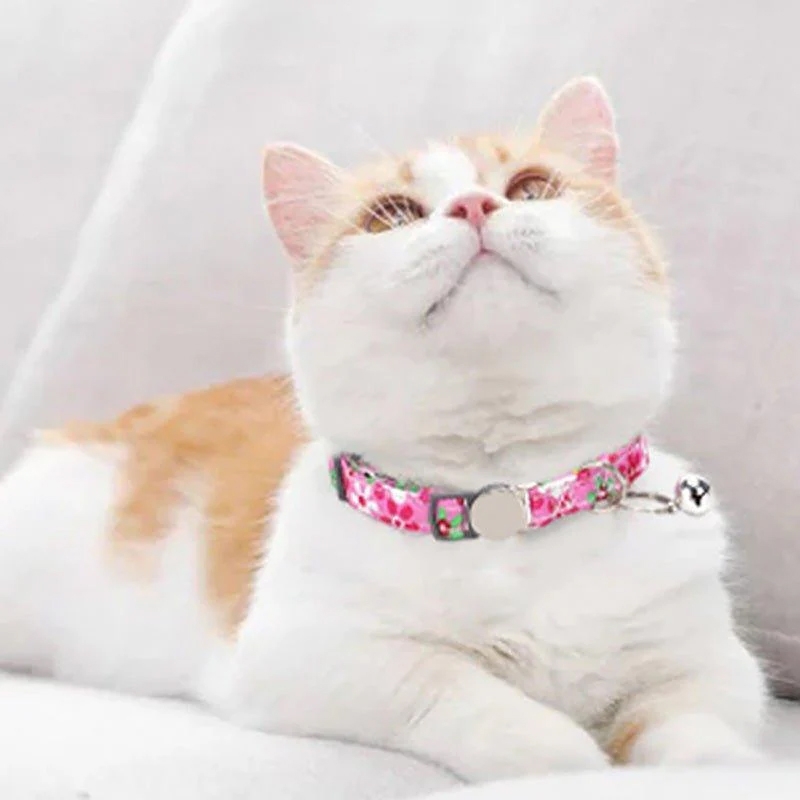 A cat with white and orange fur wears a pink floral collar featuring a silver bell.