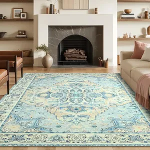 A living room features a light blue patterned rug with intricate designs, a cream sofa with pink pillows, and a black marble fireplace surrounded by wooden shelves with decor items. Two brown leather chairs are also visible.