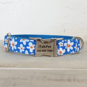 A blue pet collar with a floral pattern and a metal buckle engraved with \“iTalkPet 123 456 7890.\“