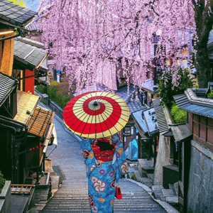 A person in a colorful kimono walks down a traditional Japanese street under cherry blossoms, holding a red and yellow parasol.