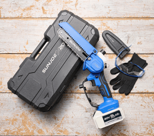 Battery-powered mini chainsaw kit with 20V battery, goggles, gloves, and protective case.