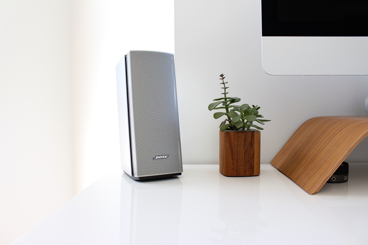 A Bose speaker, a potted succulent, and a wood monitor stand beside an iMac on a white desk.