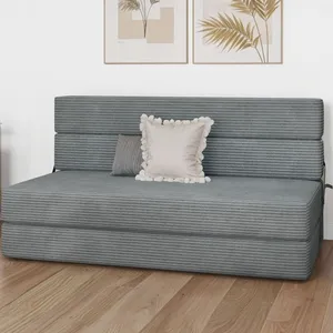 A gray, foldable futon sofa bed with striped fabric is shown, featuring two decorative pillows. It is set against a white wall with two framed botanical prints.