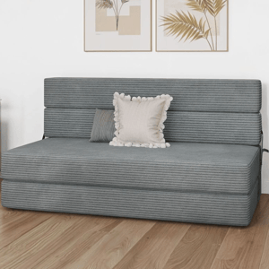 A gray, foldable futon sofa bed with striped fabric is shown, featuring two decorative pillows. It is set against a white wall with two framed botanical prints.