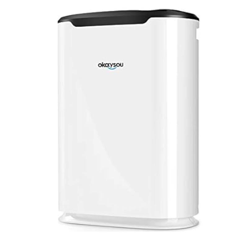 A white air purifier with a black top from Okaysou, designed for indoor air filtration.