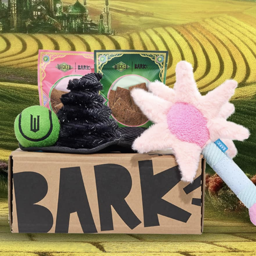 Dog toy box featuring a black witch hat toy, pink star wand toy, two packs of treats, and a green tennis ball with emblem, set against a yellow brick road background.