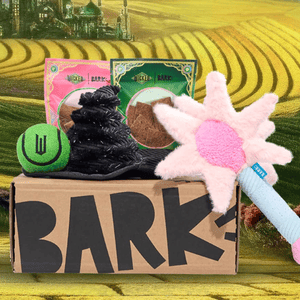 Dog toy box featuring a black witch hat toy, pink star wand toy, two packs of treats, and a green tennis ball with emblem, set against a yellow brick road background.