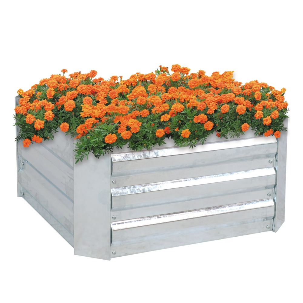 A galvanized steel raised garden bed filled with vibrant orange marigold flowers.