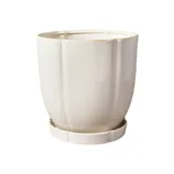 A white ceramic planter with a subtle ridged texture, accompanied by a matching saucer, set on a green surface.