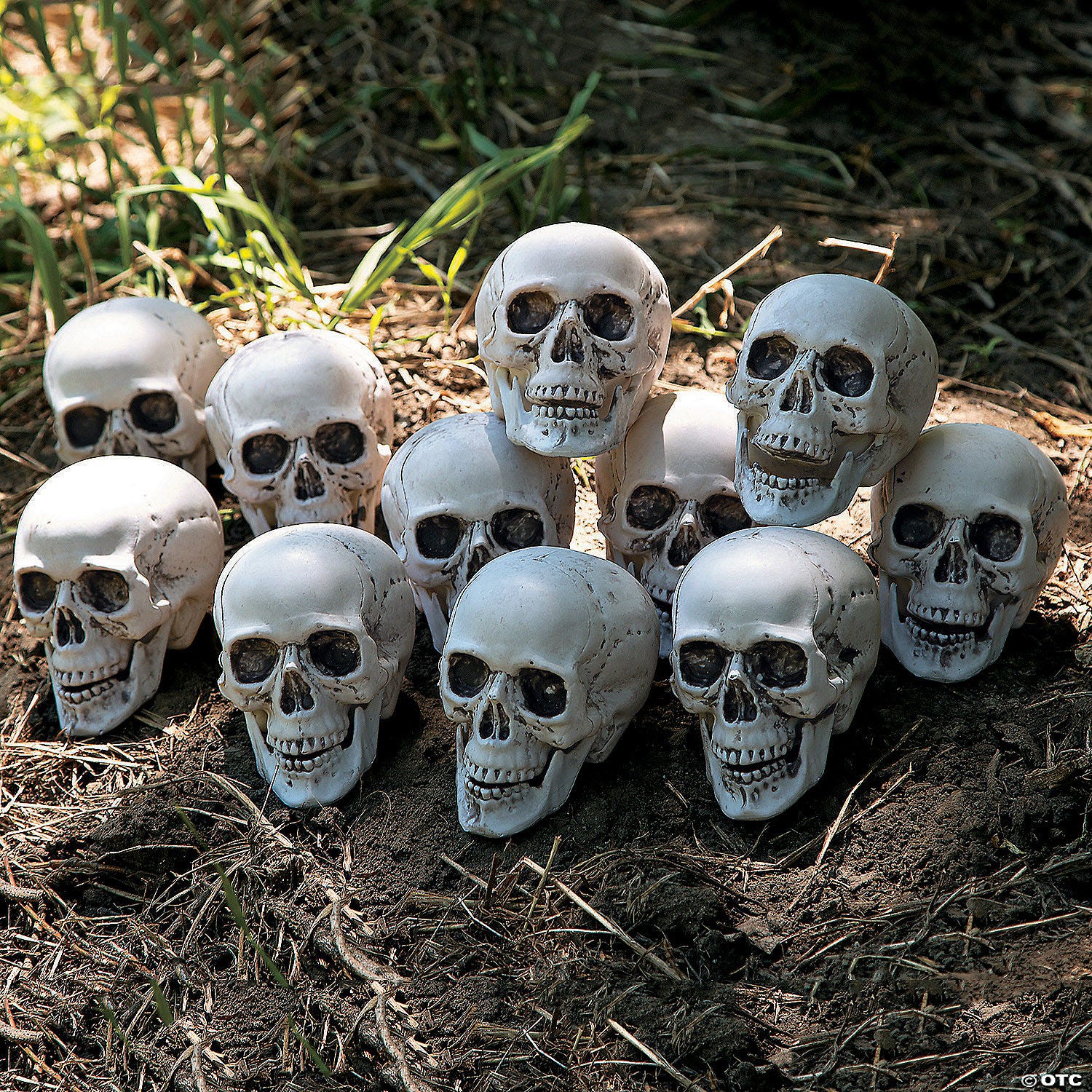 A collection of realistic skull replicas arranged on the ground, suitable for Halloween decorations or displays.