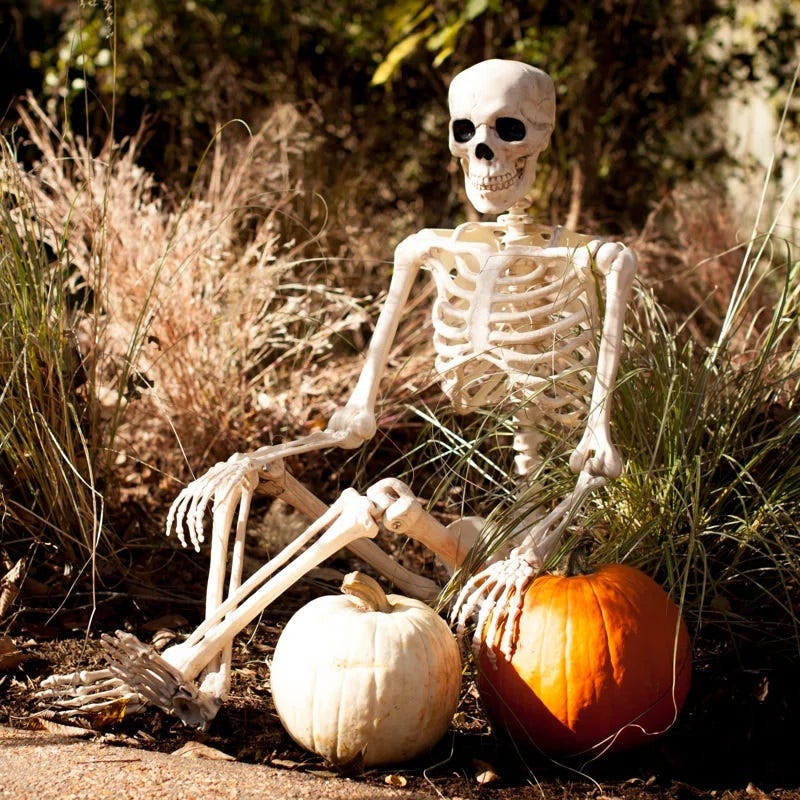 A skeleton prop is seated on the ground next to two pumpkins, one orange and one white.