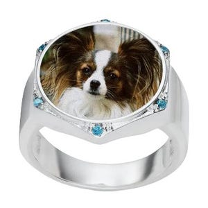 A silver ring featuring a round photo of a Papillon dog on the top, accented with small blue gemstones around the band.