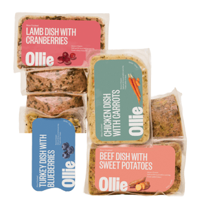 Four types of slow-cooked pet food packages are shown: Lamb with Cranberries, Chicken with Carrots, Turkey with Blueberries, and Beef with Sweet Potatoes, all branded as \“Ollie.\“