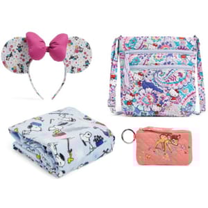 Mouse ears headband, patterned crossbody bag, printed fleece blanket, and a small zippered coin pouch.