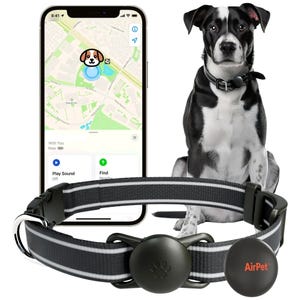 The 2pk Pet Locator Tag and Holder includes a GPS tracking collar with a smartphone app showing a pet's location. The collar is gray with a black tracker, designed for pet safety and location tracking.