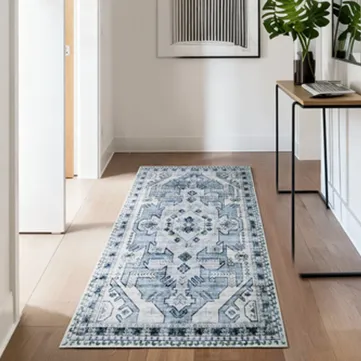A hallway features a blue patterned runner rug on a wooden floor, alongside a console table with a plant, books, and framed wall art.