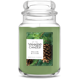 Yankee Candle jar in Balsam & Cedar scent, featuring a room-filling fragrance and a green appearance with pine imagery on the label.
