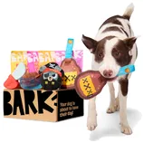 A dog holds a toy from a BarkBox featuring pirate-themed dog toys and treats packaged with \“BARK\“ branding.