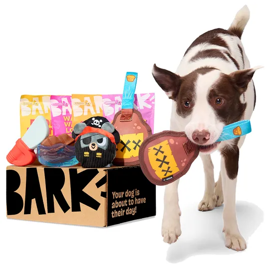 A dog holds a toy from a BarkBox featuring pirate-themed dog toys and treats packaged with \“BARK\“ branding.