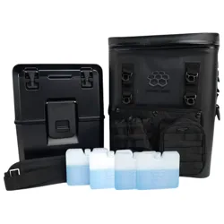 A black, portable cooler set including a sturdy insulated cooler box, a matching bag with organizational pockets, and a removable shoulder strap, accompanied by four rectangular ice packs.