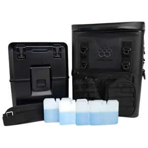 A black, portable cooler set including a sturdy insulated cooler box, a matching bag with organizational pockets, and a removable shoulder strap, accompanied by four rectangular ice packs.