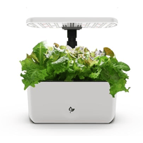 A compact indoor hydroponic garden with leafy greens growing under an adjustable LED light panel.