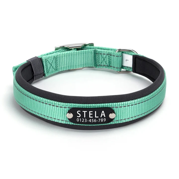 Green nylon dog collar with a black tag displaying \“STELA\“ and the number \“0123-456-789,\“ featuring a metal buckle and adjustable strap.