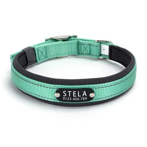 Green nylon dog collar with a black tag displaying \“STELA\“ and the number \“0123-456-789,\“ featuring a metal buckle and adjustable strap.