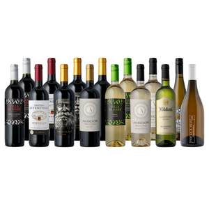 A selection of assorted wine bottles, featuring both red and white varieties, including labels such as Villa di Mare, Ambición, The Vigilant, and Mildianni among others.