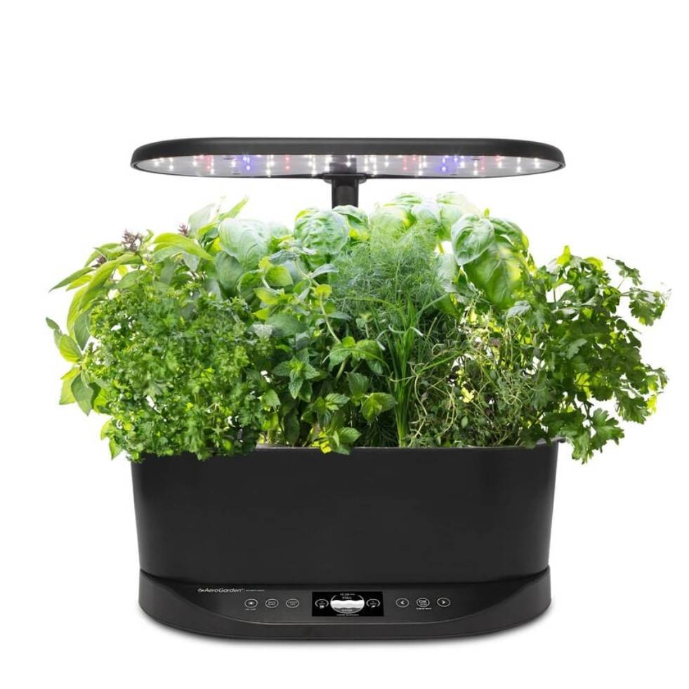 A variety of lush, green herbs are growing in an indoor countertop garden with a built-in overhead LED light.