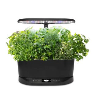 A variety of lush, green herbs are growing in an indoor countertop garden with a built-in overhead LED light.