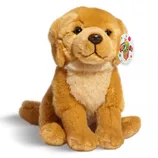A plush toy resembling a golden retriever puppy, featuring soft brown and cream-colored fur with a tag labeled \“Toy Box.\“