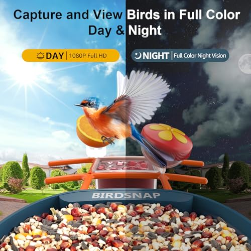 Features a bird feeder with a camera that captures and views birds in full color both day and night, showcasing 1080P Full HD quality and full color night vision.